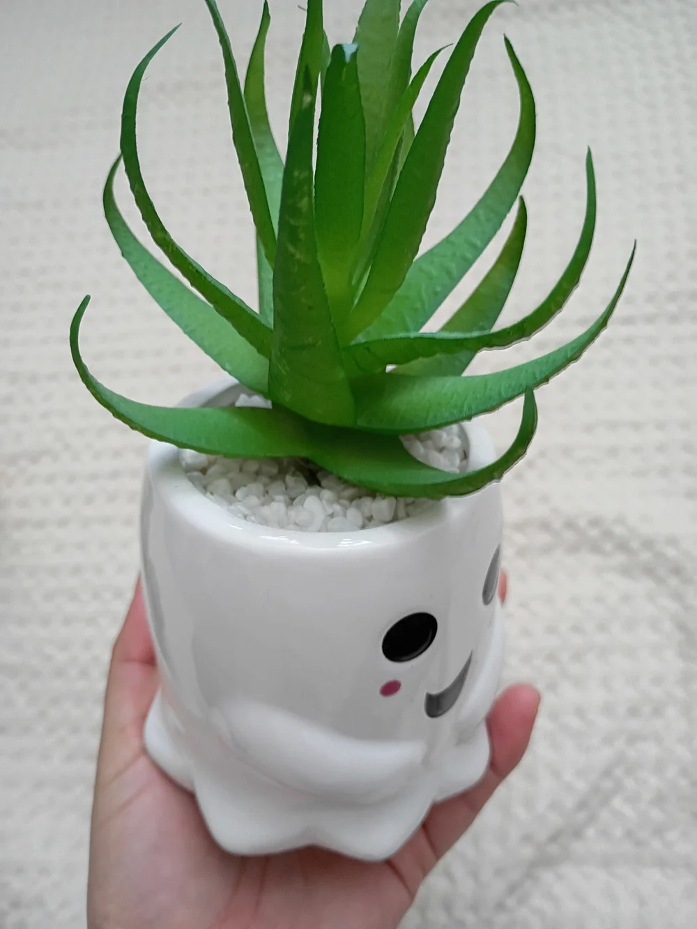 Beetlejuice & Ghost Ceramic Planter – Playful Home Accent